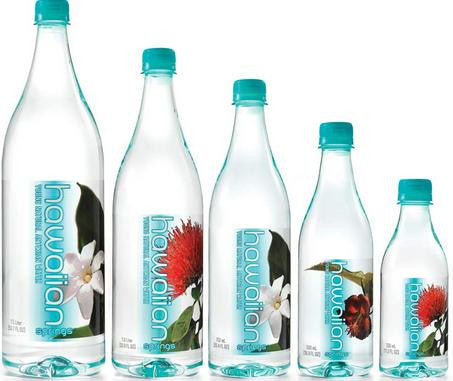 Hawaiian Springs Young Natural Artisian Water Spring Water - 24/16.9 OZ